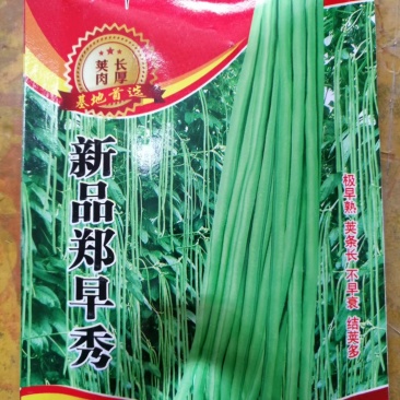 【精选】郑研新品郑早秀豆角种子虹豆种子，长虹豆种子