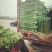 精品芹菜代发全国大量有货商超**，市场批发，