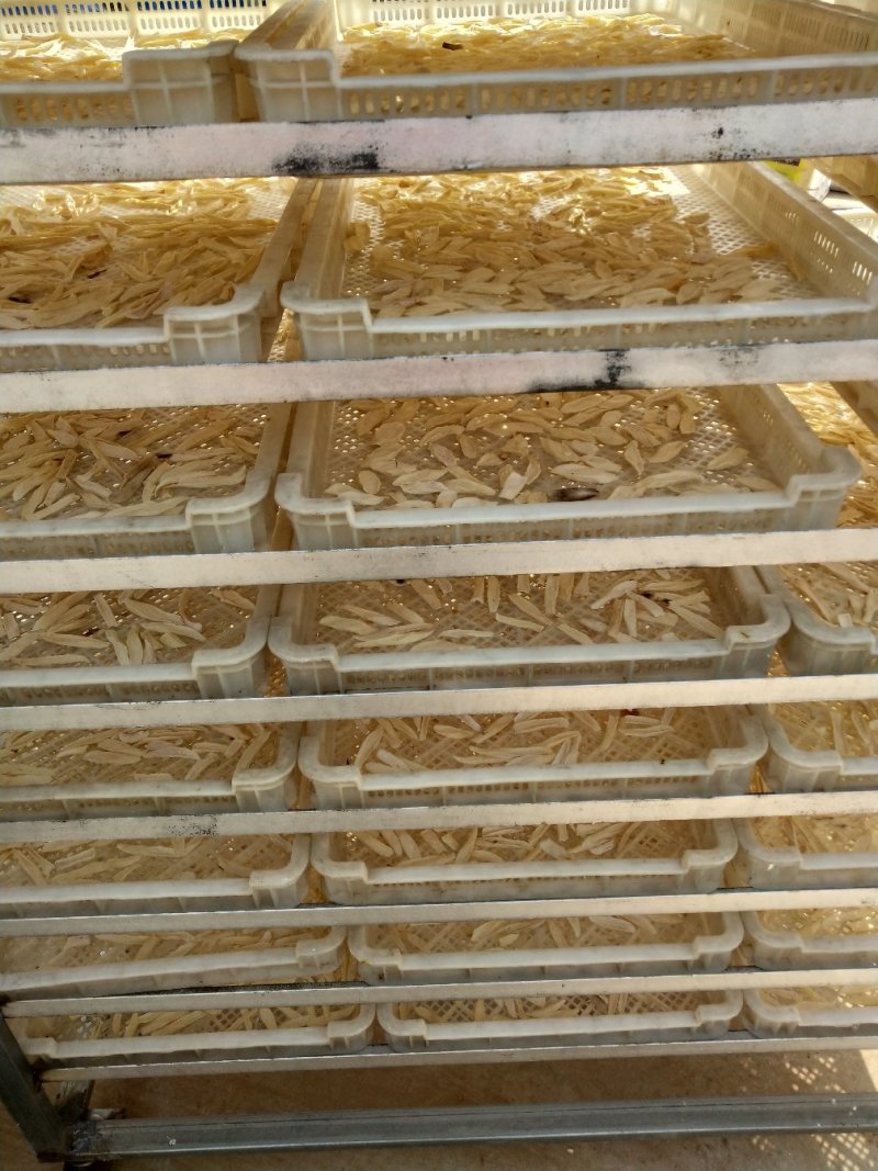 山药片