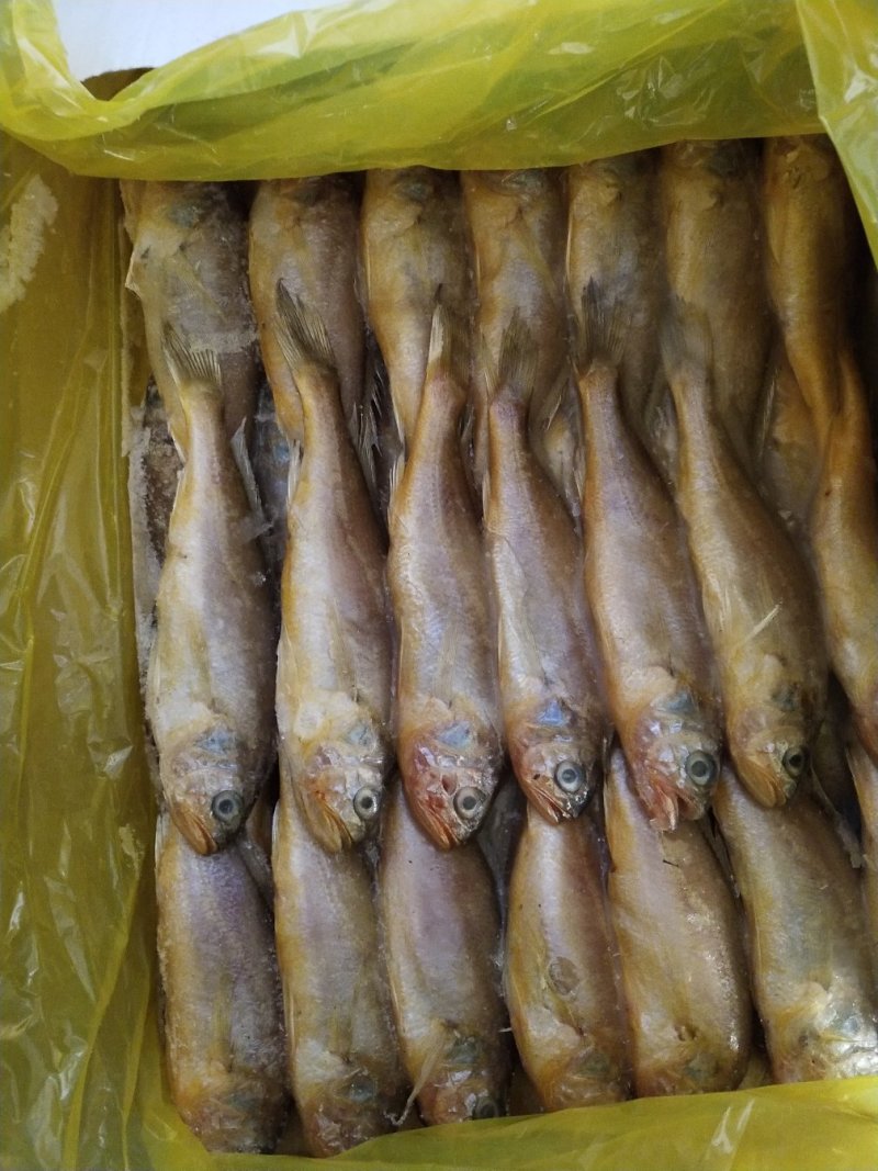 鱿鱼串