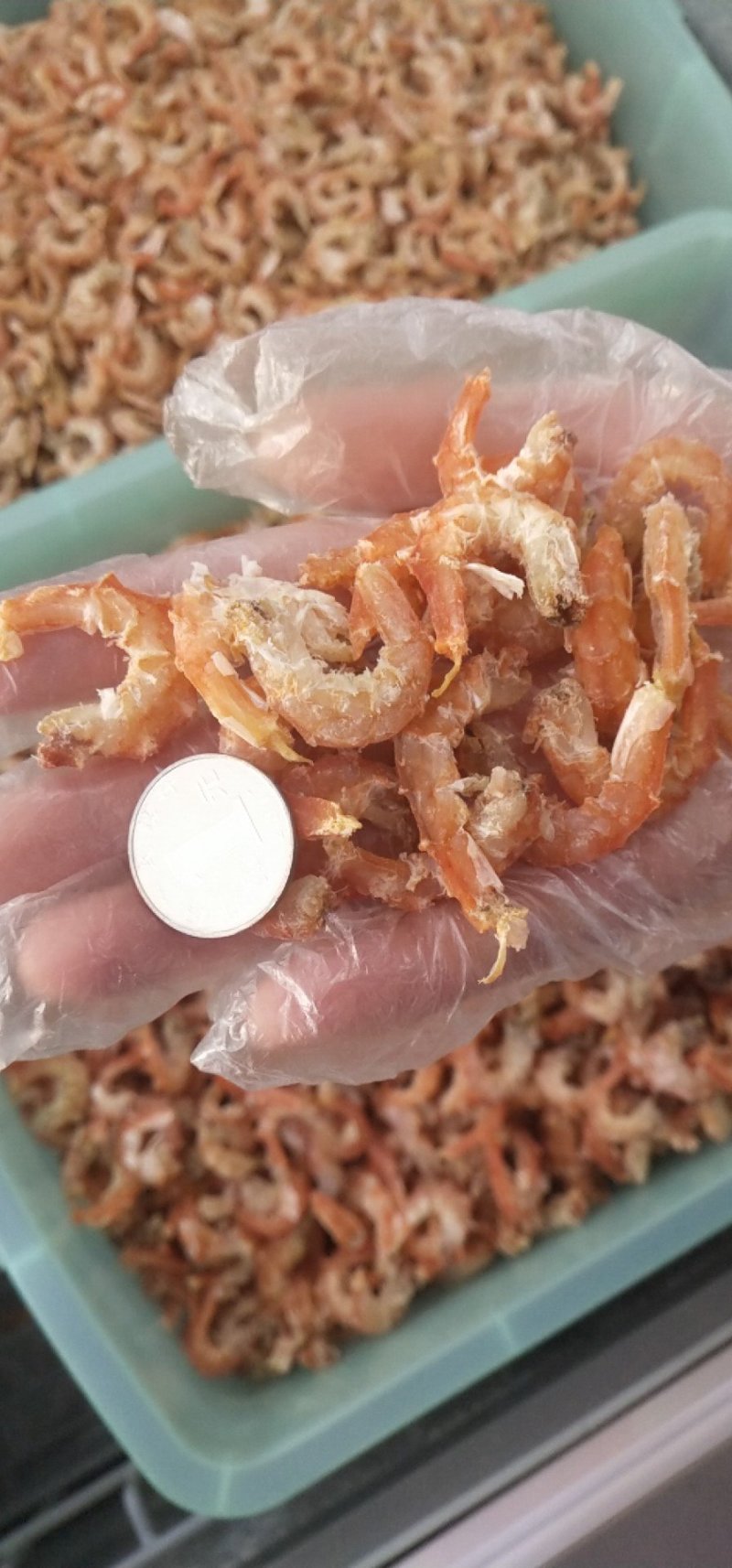 鱿鱼串