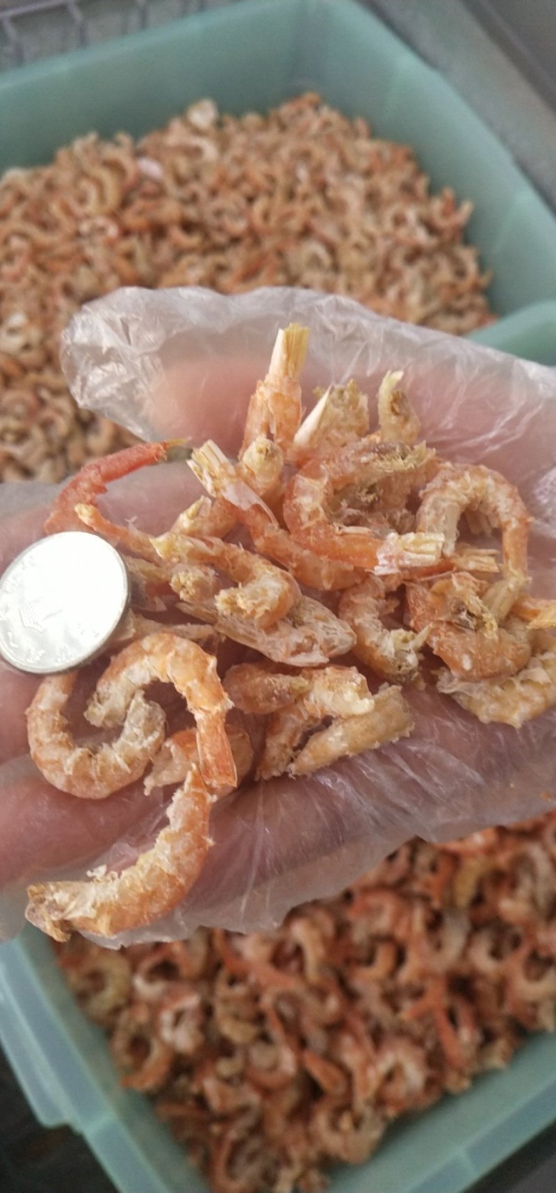 鱿鱼串