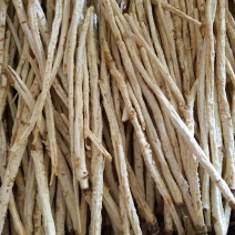 北沙参干货量大现货装箱规格齐全一手货源