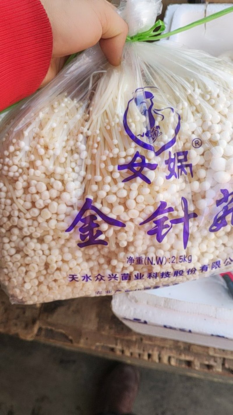 工厂化女娲A货金针菇