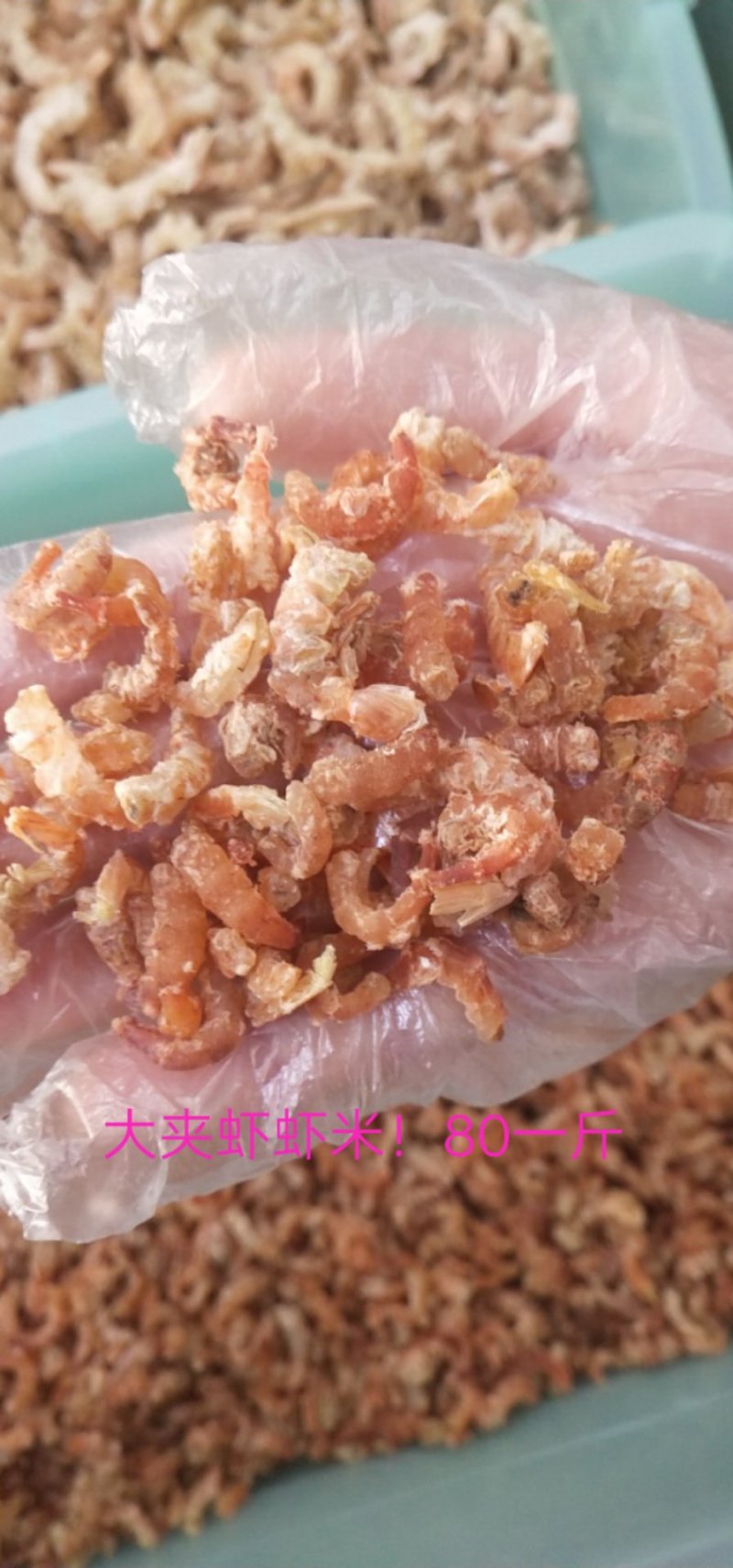 海米