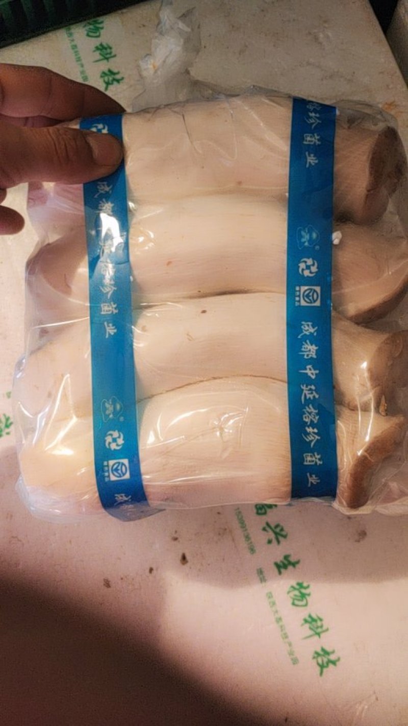 工厂化中延杏鲍菇