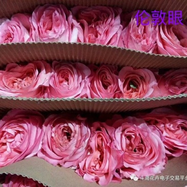 昆明鲜切花批发