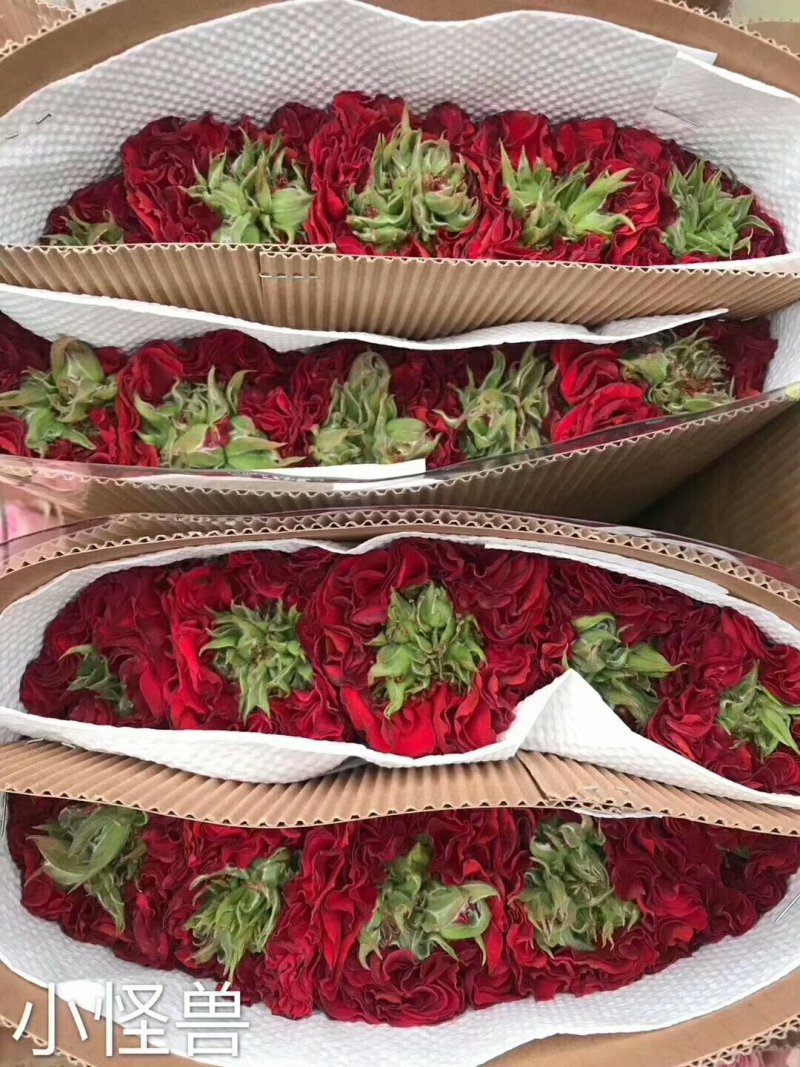 昆明鲜切花批发