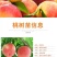 出售，黄油蟠桃，沂蒙霜红，红桃，黄桃水蜜桃，秋白锦绣黄桃
