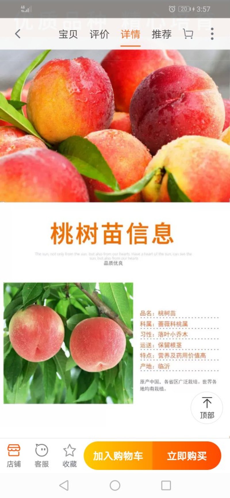 出售，黄油蟠桃，沂蒙霜红，红桃，黄桃水蜜桃，秋白锦绣黄桃