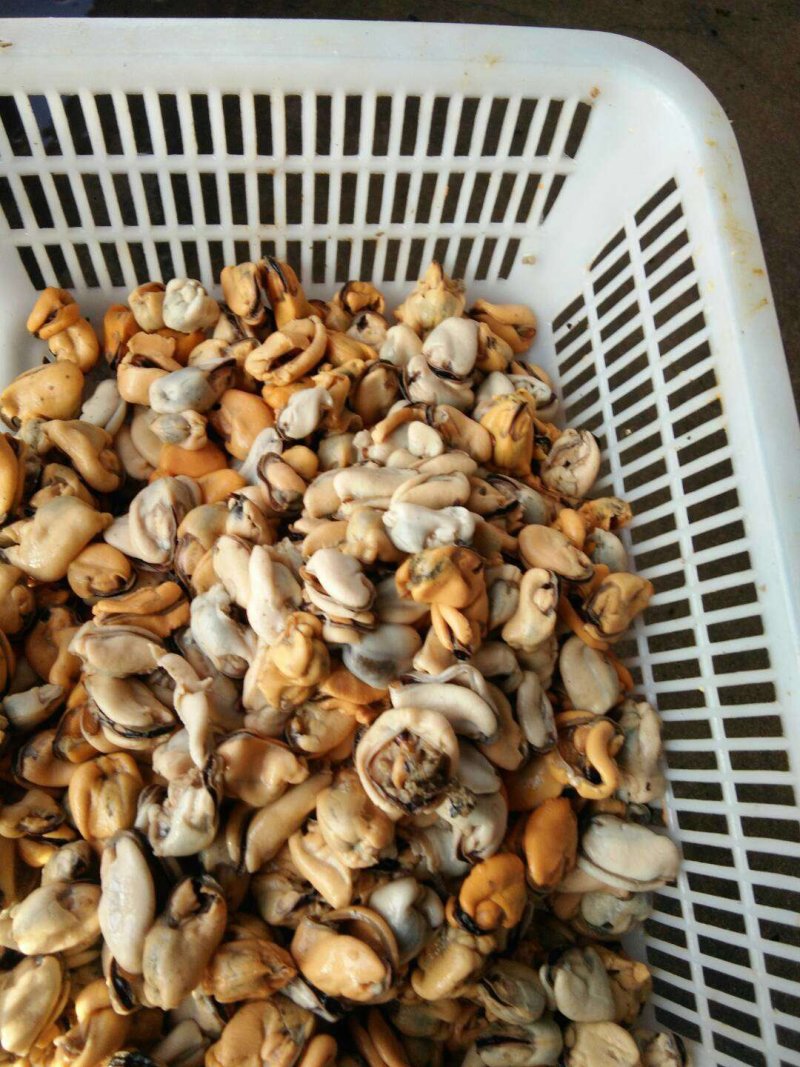 海虹肉单冻，贻贝肉，厂家直销
