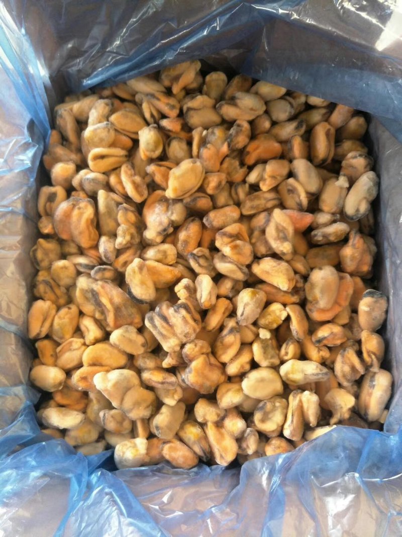 海虹肉单冻，贻贝肉，厂家直销
