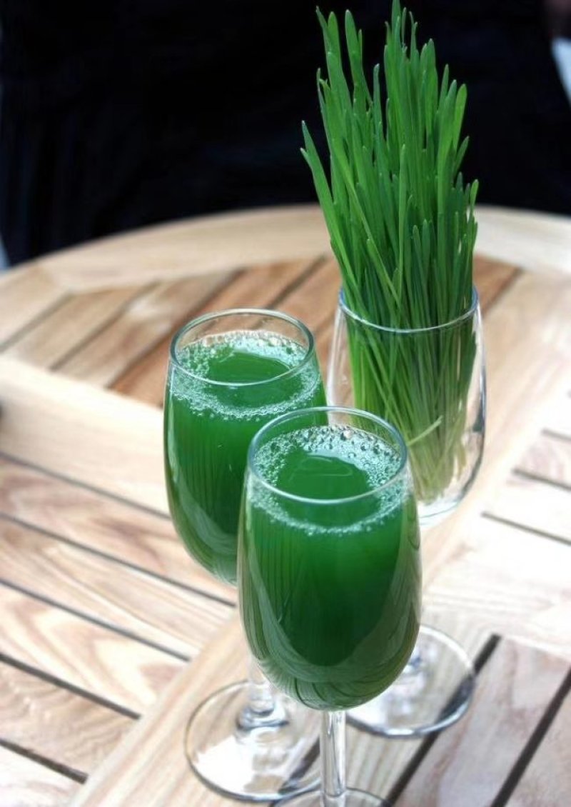 小麦草