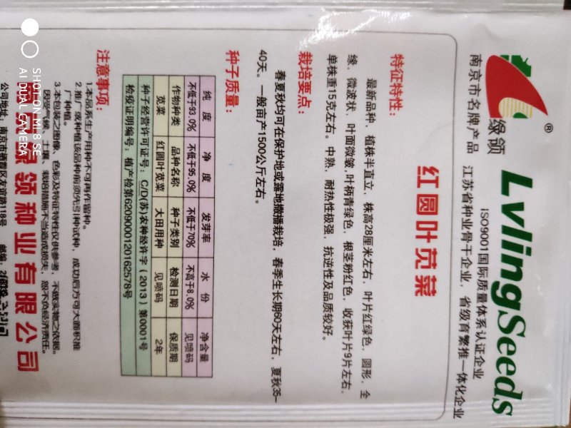苋菜种子一绿领红圆叶苋菜
