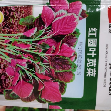 苋菜种子一绿领红圆叶苋菜