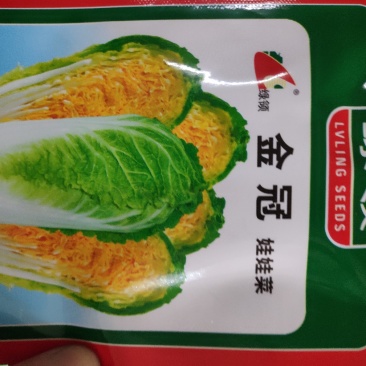 娃娃菜种子一绿领金冠娃娃菜