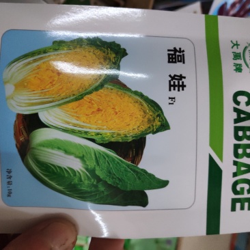 娃娃菜种子一福娃F1