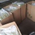 金银花苗金银树苗金银花树四季金银花苗