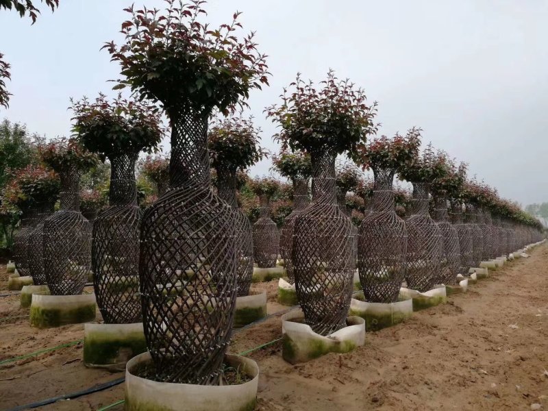 造型花瓶大量出售