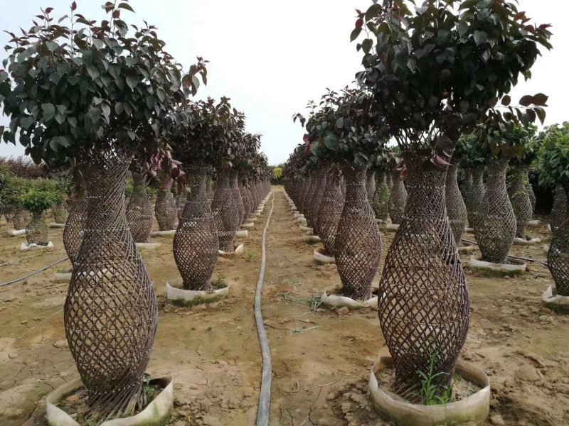造型花瓶大量出售
