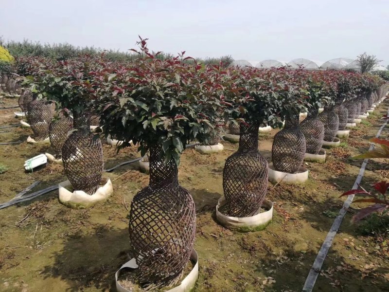 造型花瓶大量出售