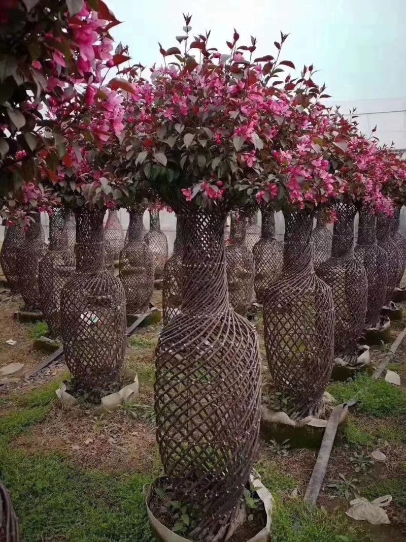 造型花瓶大量出售