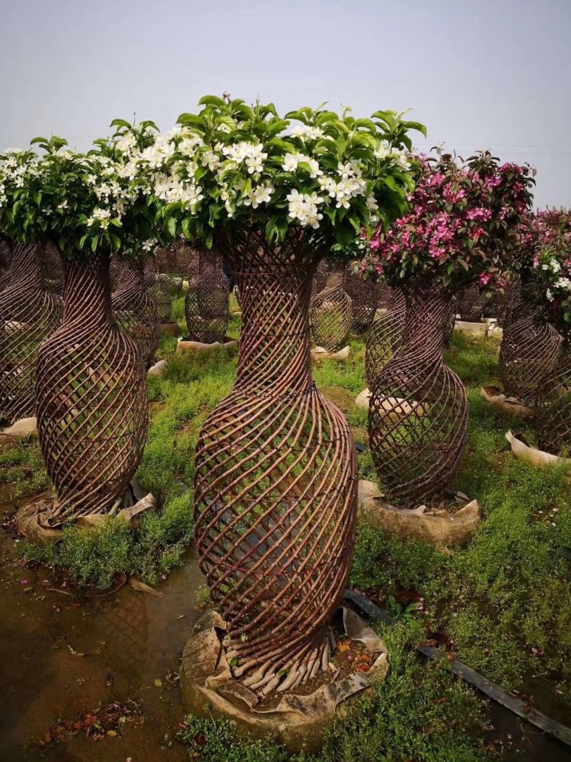 造型花瓶大量出售