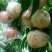 大荔县7月份上市秦王毛桃青皮核桃大量供货