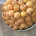 我地斤万亩枇杷正式上市了，马上进入高峰期，日采摘量近百吨