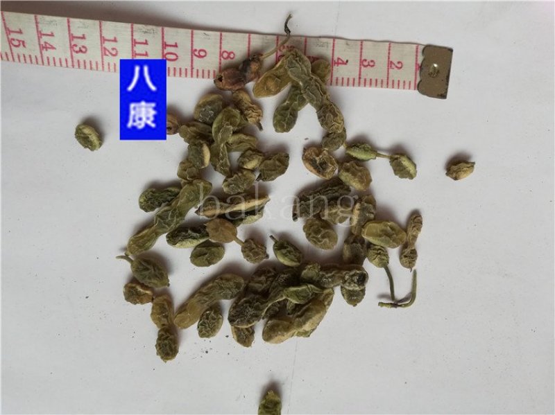 槐角统货批发零售品种齐全