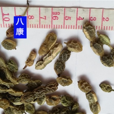 槐角统货批发零售品种齐全
