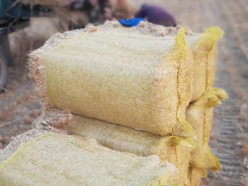 柔丝3～5公分稻草牛羊饲料防砂治土稻草