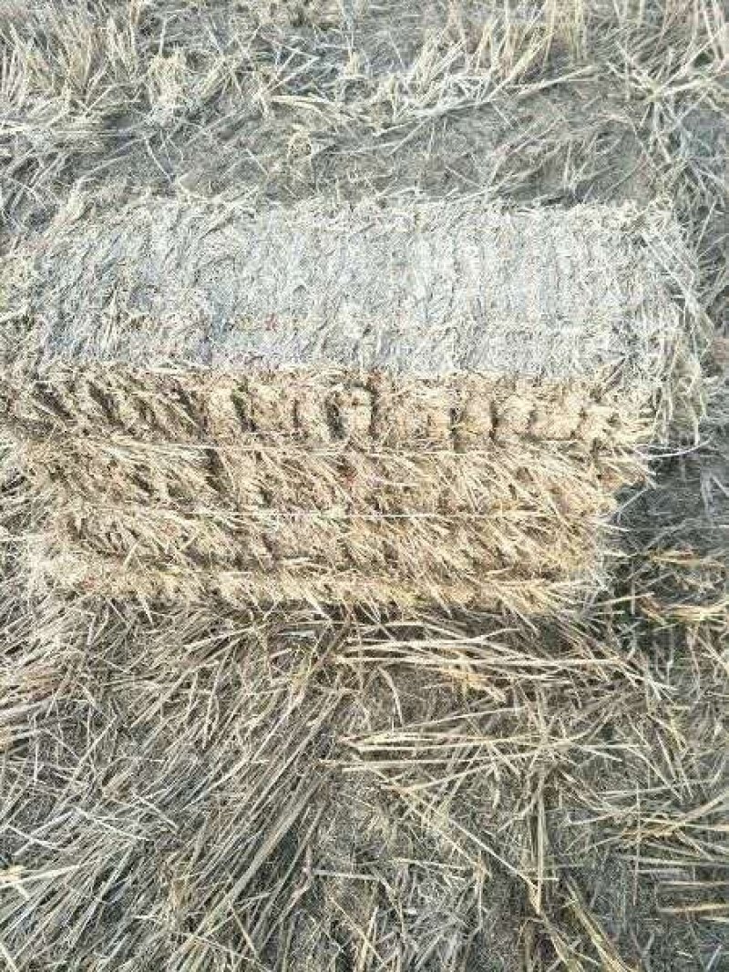 稻草压块稻草牛羊饲料大小包稻草柔丝稻草