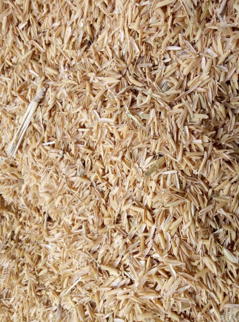 散装稻壳做酒稻壳做醋稻壳枕芯稻壳填充稻壳