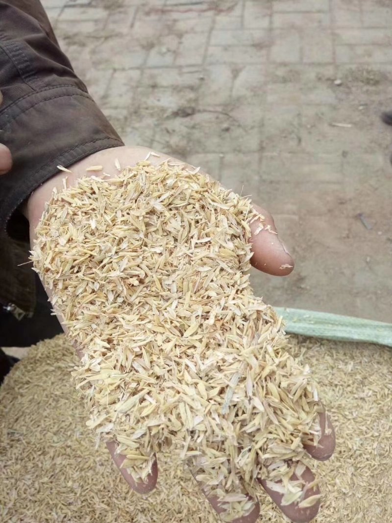 压缩稻壳鸡鸭鹅牛羊垫料稻壳压块谷壳散装稻壳