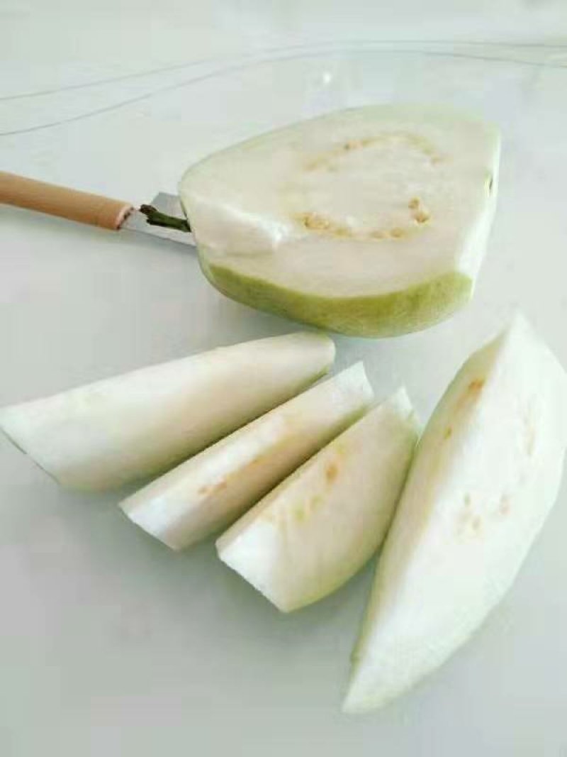 芭乐苗，西瓜珍珠芭乐，品种齐全，带杯全国发货，诚信经营