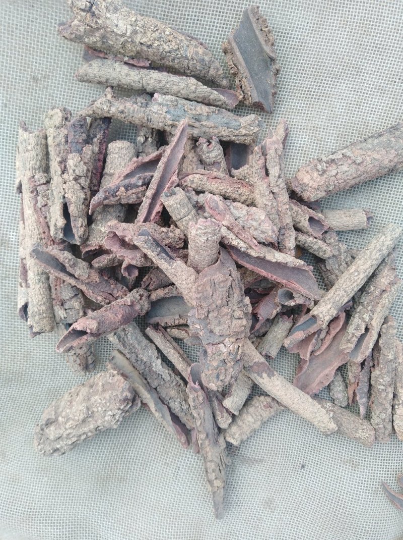 紫荆皮肉红、内消、紫荆木皮产地直销代抓各种药方