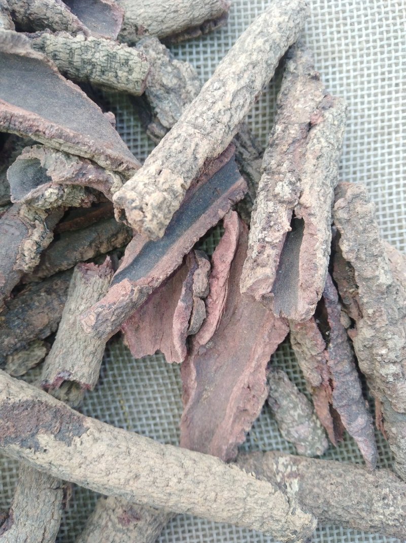 紫荆皮肉红、内消、紫荆木皮产地直销代抓各种药方