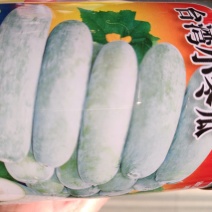 冬瓜种子台湾小冬瓜早熟瓜长棒形瓜皮粉色