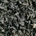 东北秋木耳，也叫鼠耳，肉厚，口感柔软，营养丰富。