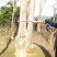 野生玫瑰红紫薇树，产地：广东梅州