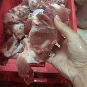 多肉酱大量