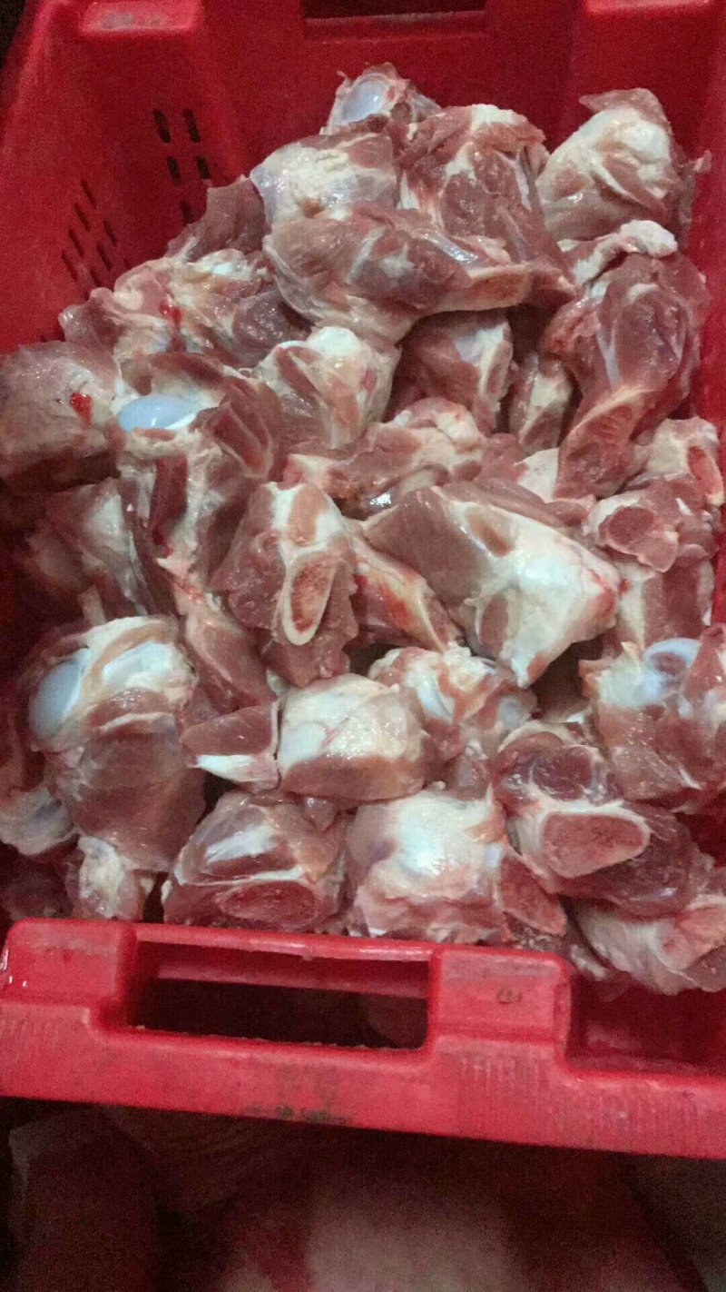 多肉酱大量