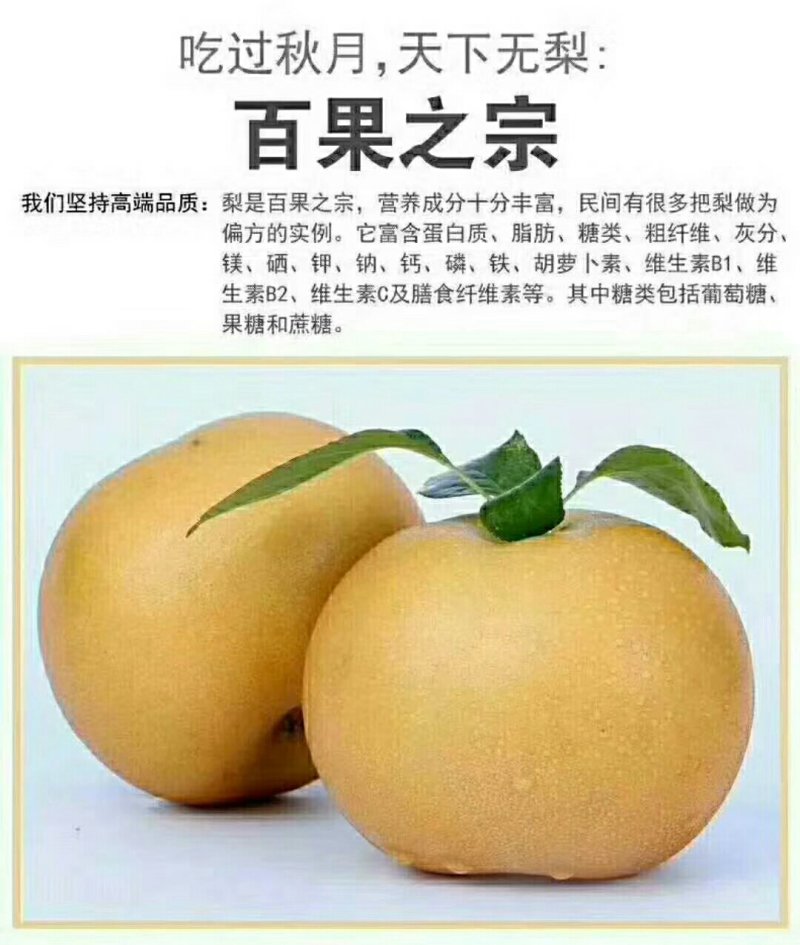 出售大量花树，各种树苗