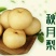 出售大量花树，各种树苗