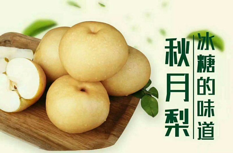 出售大量花树，各种树苗