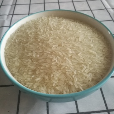 黄花粘