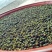 四川青花椒老品种麻味足，有转红椒急出！可视频看货
