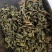 罗布麻茶1斤起