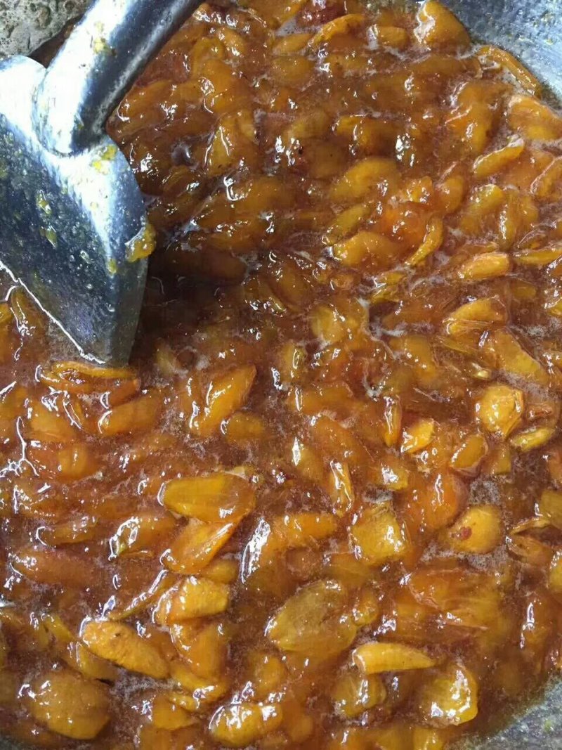 云霄川贝枇杷膏